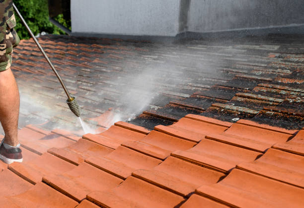Best Local Pressure Washing Services  in Masonville, KY
