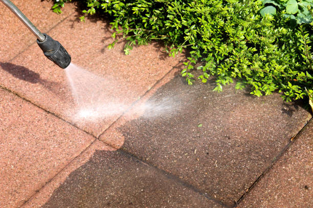 Best Exterior Home Cleaning  in Masonville, KY